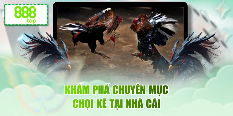Khám phá chuyên mục chọi kê tại nhà cái