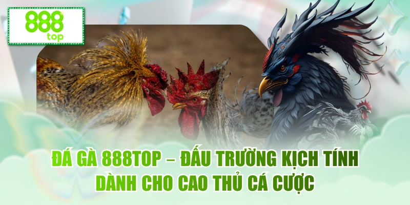Đá gà 888top